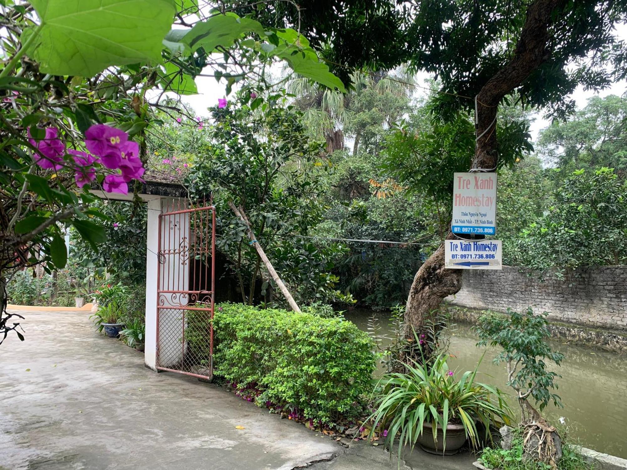 Tre Xanh Homestay Ninh Binh Dış mekan fotoğraf