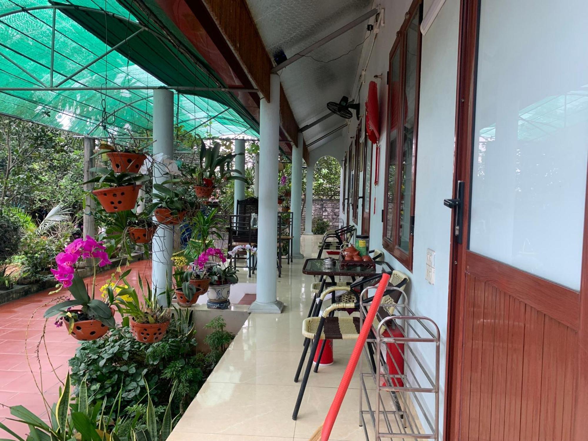 Tre Xanh Homestay Ninh Binh Dış mekan fotoğraf