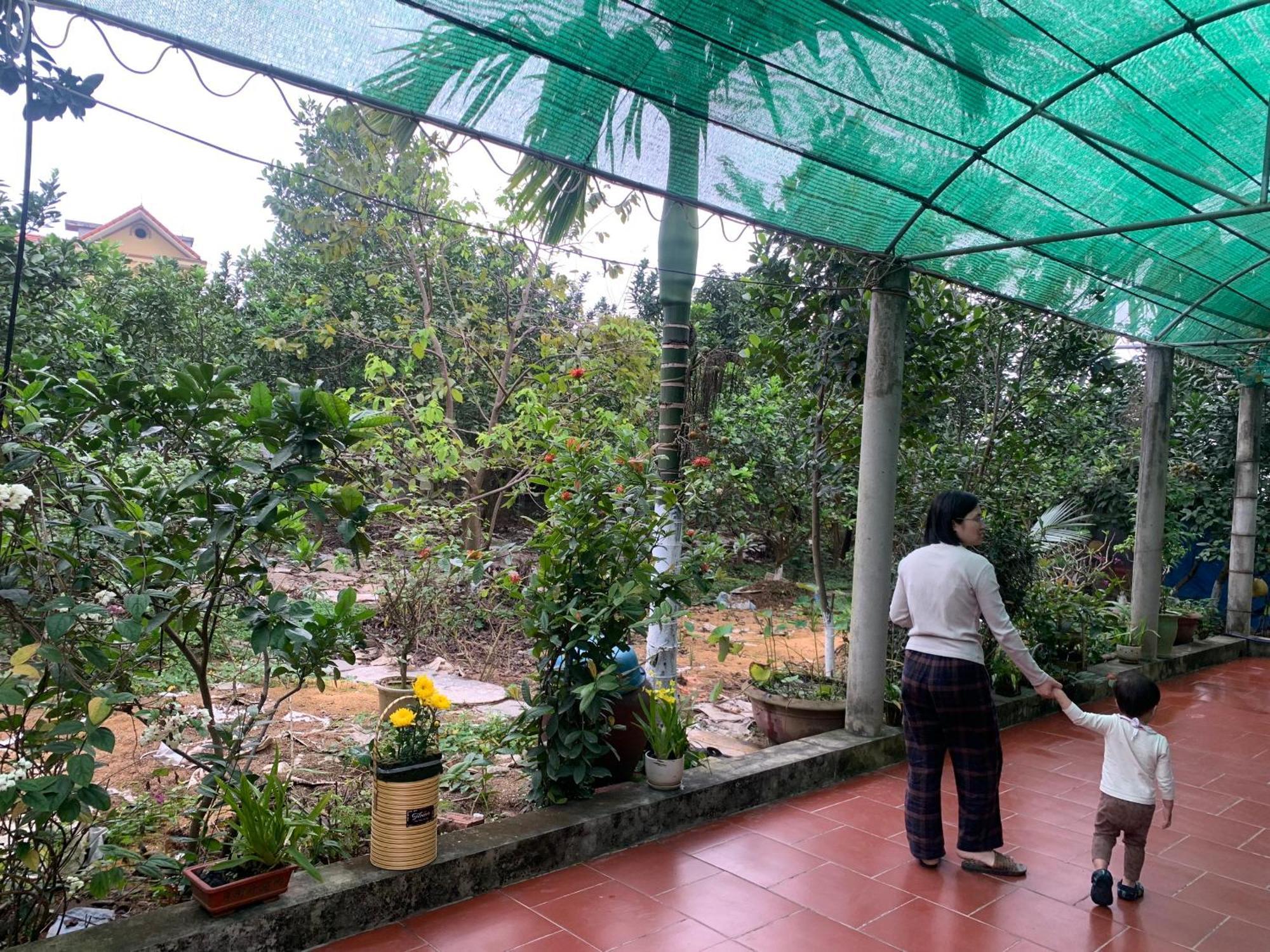 Tre Xanh Homestay Ninh Binh Dış mekan fotoğraf