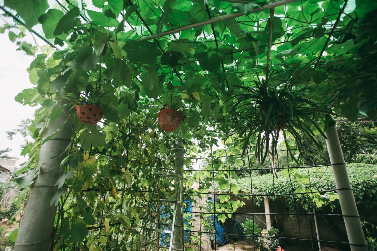 Tre Xanh Homestay Ninh Binh Dış mekan fotoğraf